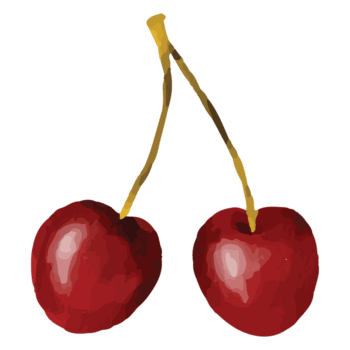 Berry Bakery logo